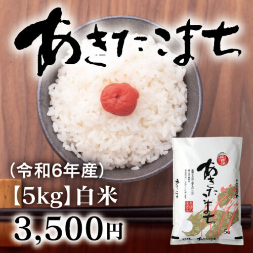 JAAY-AK03