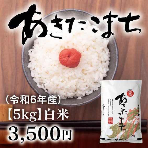 JAAY-AK03